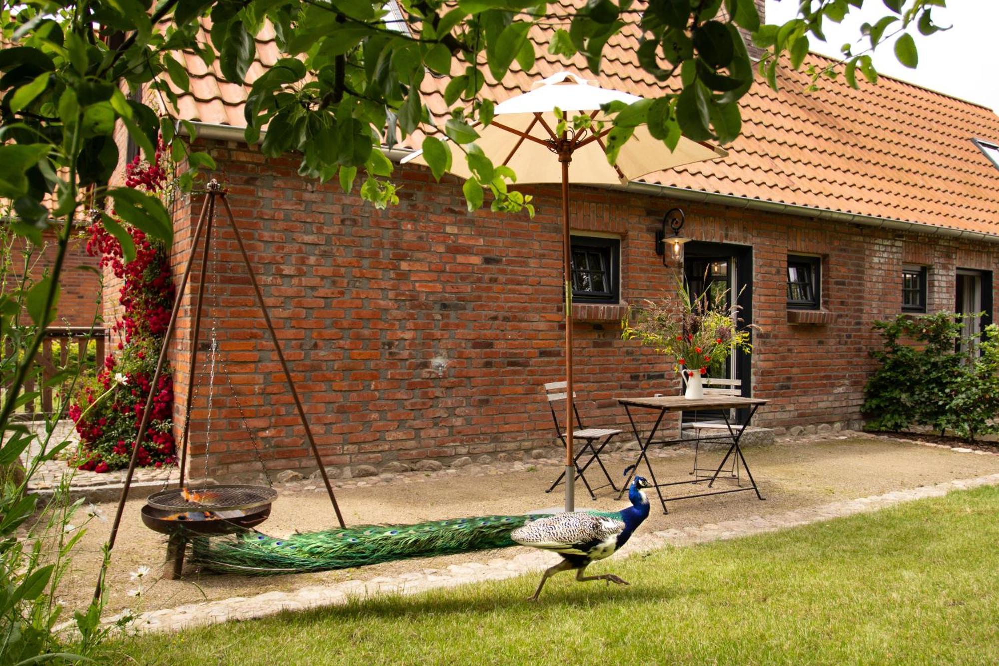 Idyllisches Landhaus, Garten & Kamin, Fuer Paare Vila Kloster Tempzin Exterior foto